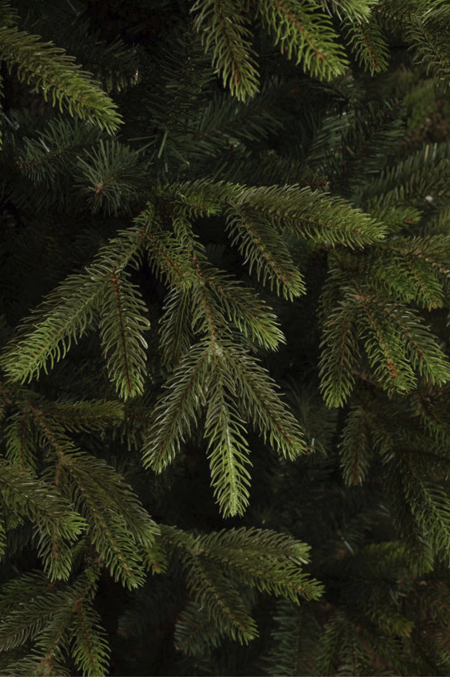 Felton künstlicher Weihnachtsbaum 1170528 mit LEDs 185cm x 124cm PE/PVC Black Box Trees