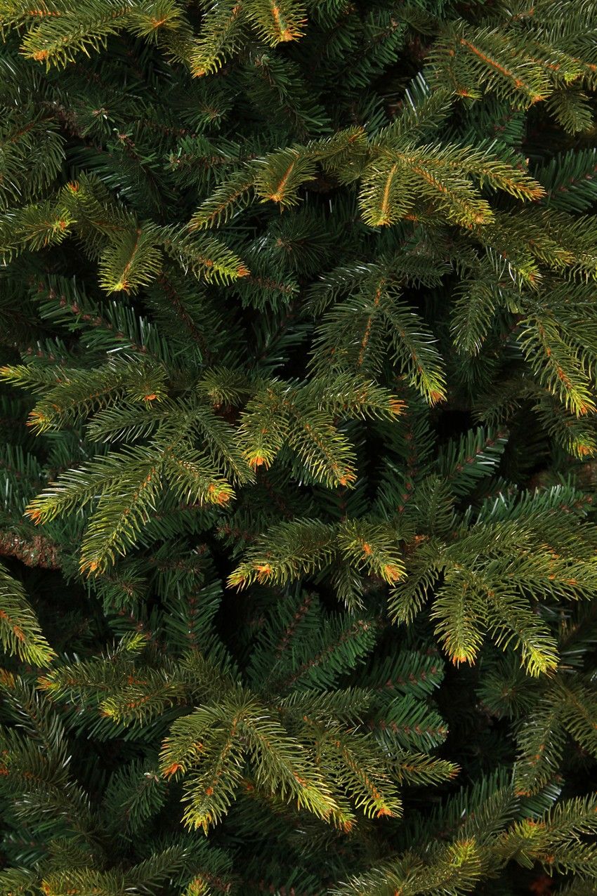 Frasier künstlicher Weihnachtsbaum 383665 185cm x 124cm PE/PVC Black Box Trees