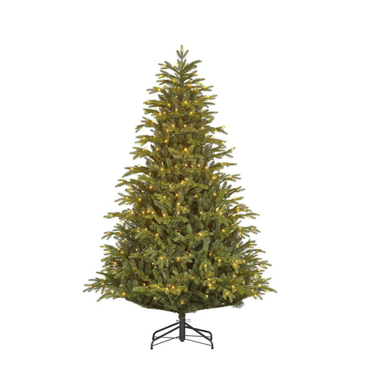 Felton künstlicher Weihnachtsbaum mit LEDs 185cm x 124cm PE/PVC Black Box Trees